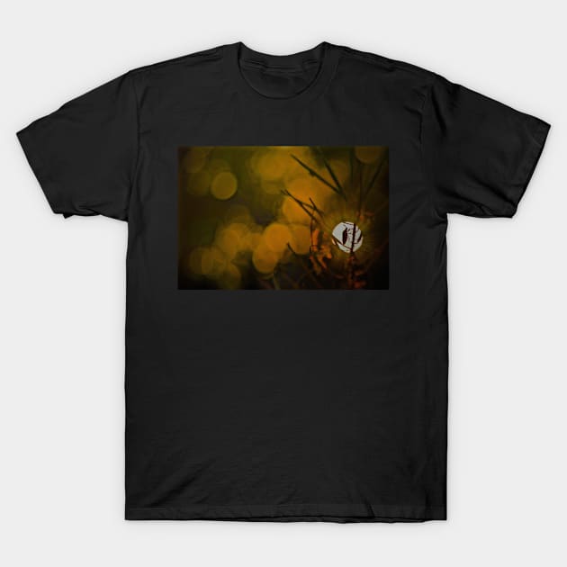 BUG BOKEH T-Shirt by dumbodancer